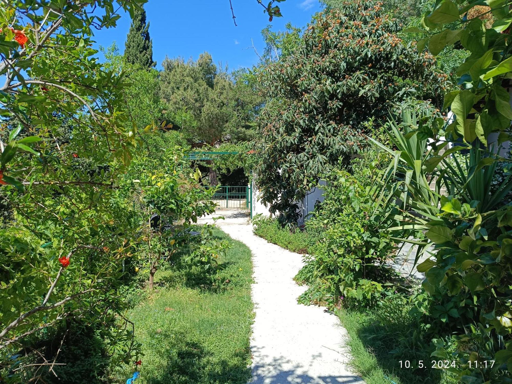 Leonica Apartman Omiš Kültér fotó
