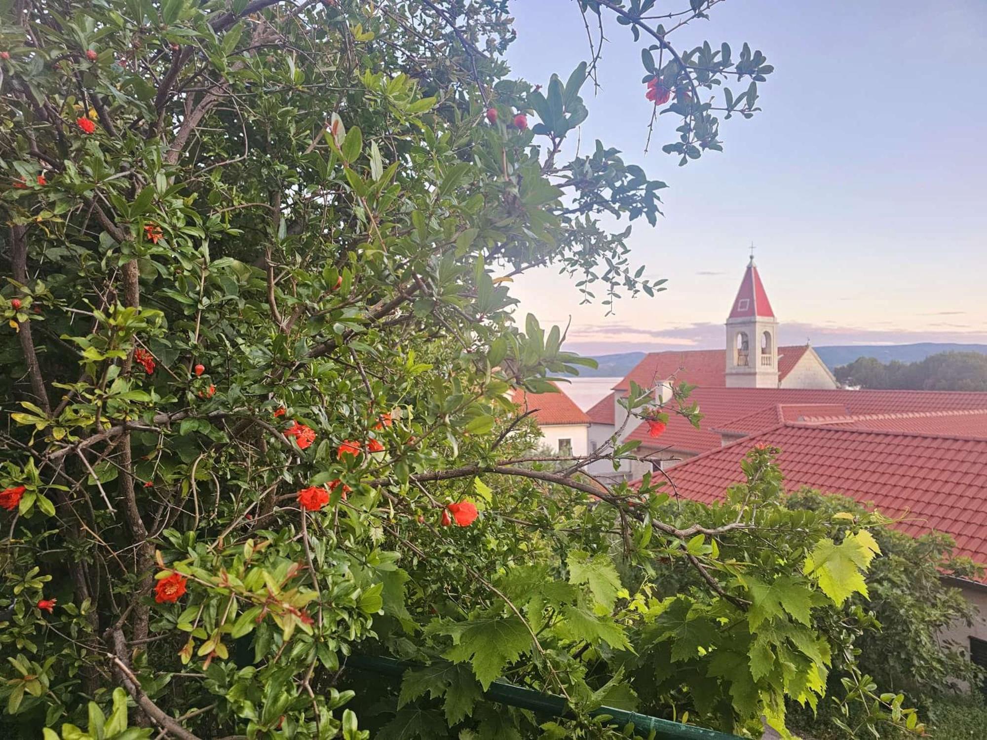 Leonica Apartman Omiš Kültér fotó